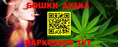 гидра Будённовск