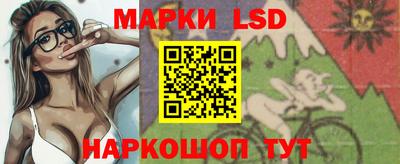 гидра Будённовск