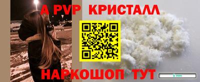 гидра Будённовск