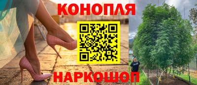 гидра Будённовск