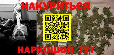 гидра Будённовск
