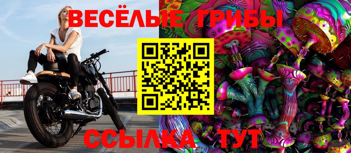 Псилоцибиновые грибы Psilocybe Рыбинск