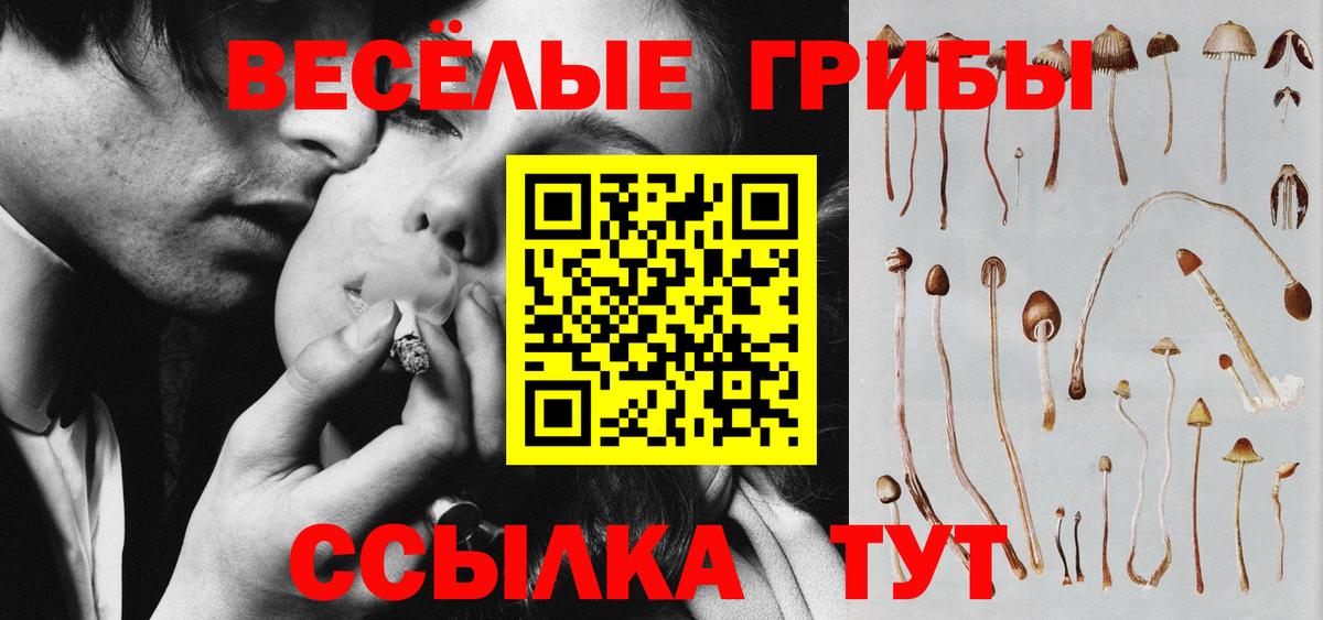 Галлюциногенные грибы Psilocybe  Вход с VPN  Галлюциногенные грибы Psilocybe  Рыбинск 